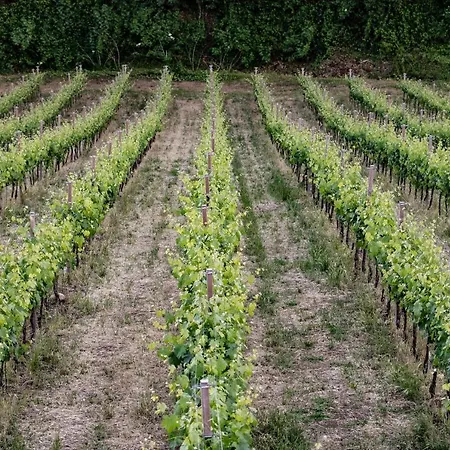 Borgo Baccile By Vini Fantini فندق Crecchio