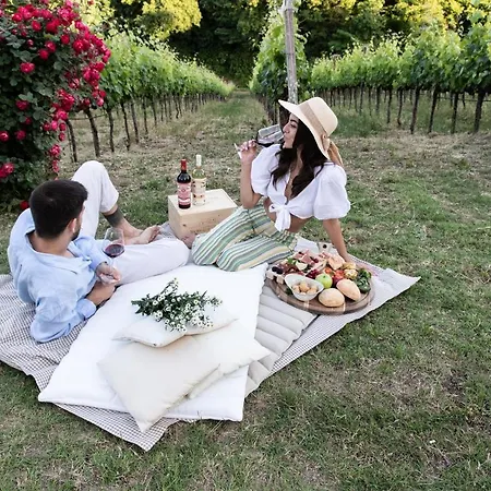 Borgo Baccile By Vini Fantini 3*