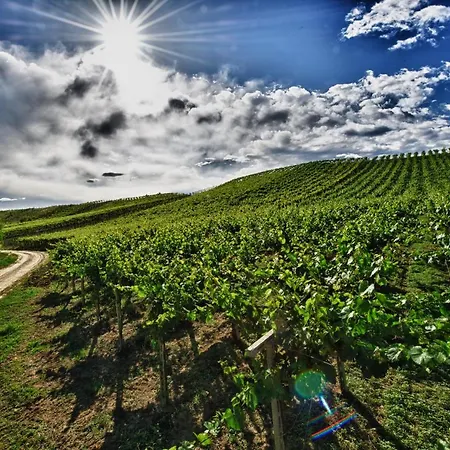 Borgo Baccile By Vini Fantini Hotel