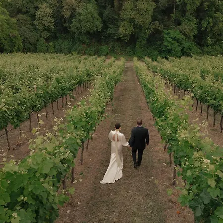 Borgo Baccile By Vini Fantini Crecchio