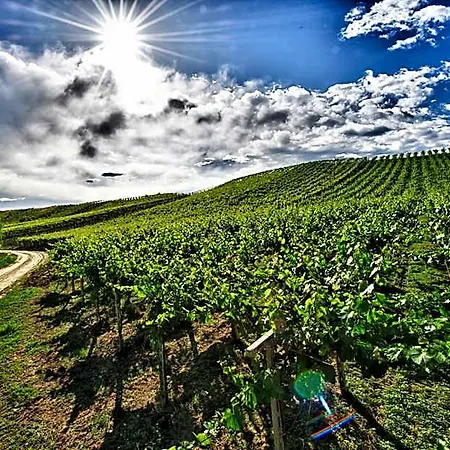 Borgo Baccile By Vini Fantini Crecchio