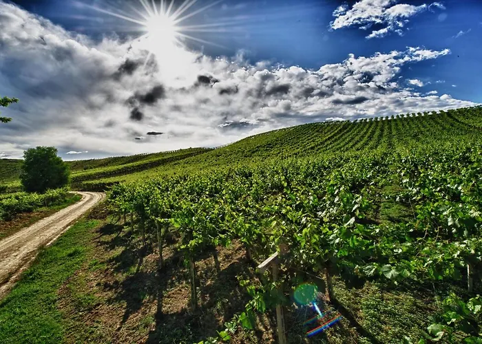 Borgo Baccile By Vini Fantini Hotel