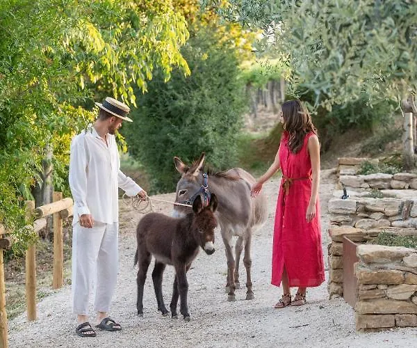 Borgo Baccile By Vini Fantini Отель 3*